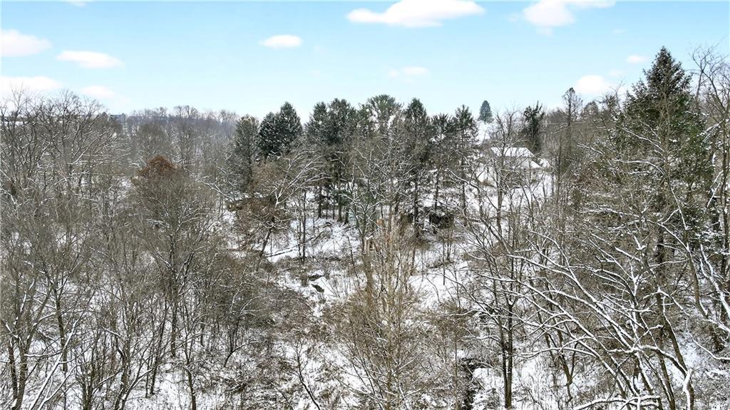 3942 Potato Garden Run Road Imperial, PA 15126 - Photo 11 of 17 a view of a city with lush green forest