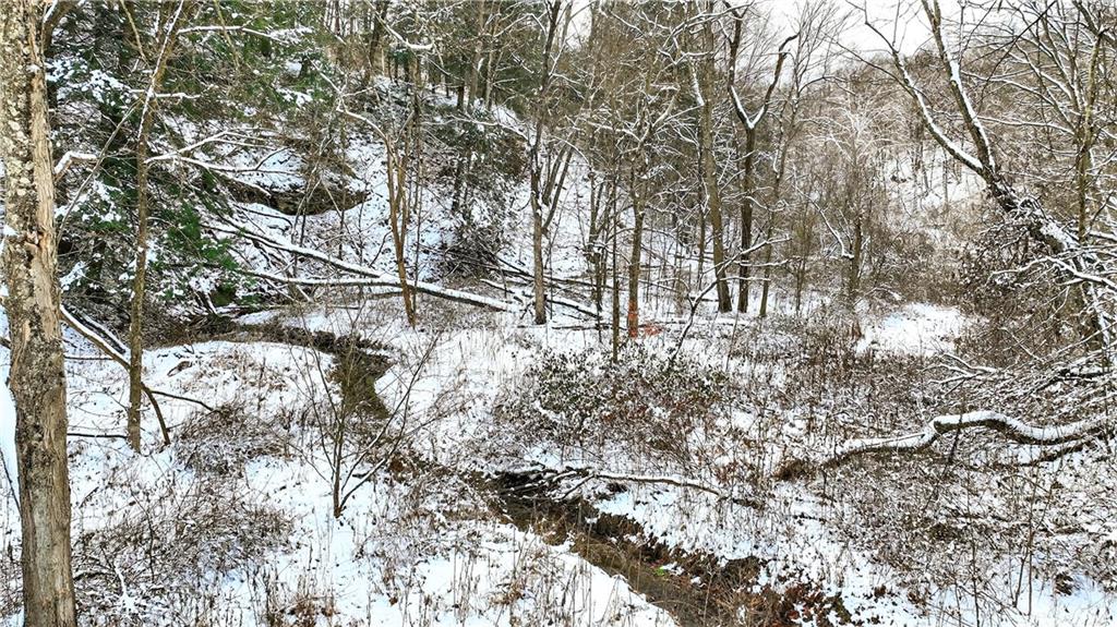 3942 Potato Garden Run Road Imperial, PA 15126 - Photo 12 of 17 a backyard of a house with lots of green space