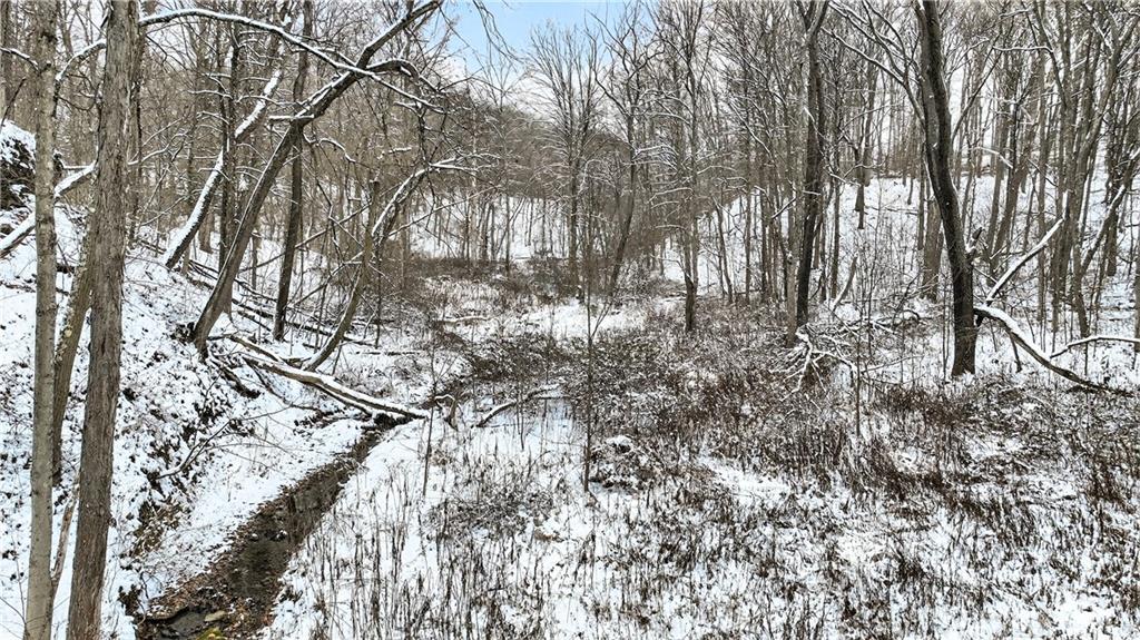 3942 Potato Garden Run Road Imperial, PA 15126 - Photo 13 of 17 a backyard of a house with lots of green space