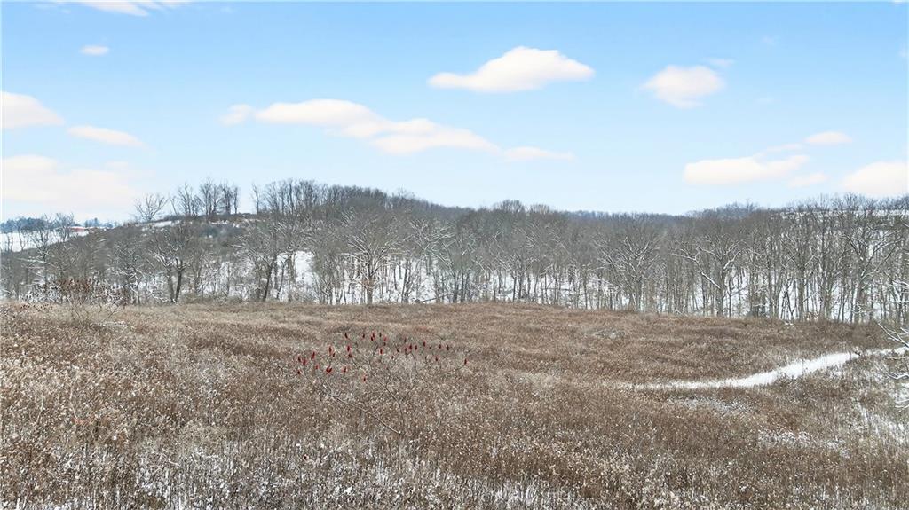 3942 Potato Garden Run Road Imperial, PA 15126 - Photo 5 of 17 a view of dirt field with trees in the background