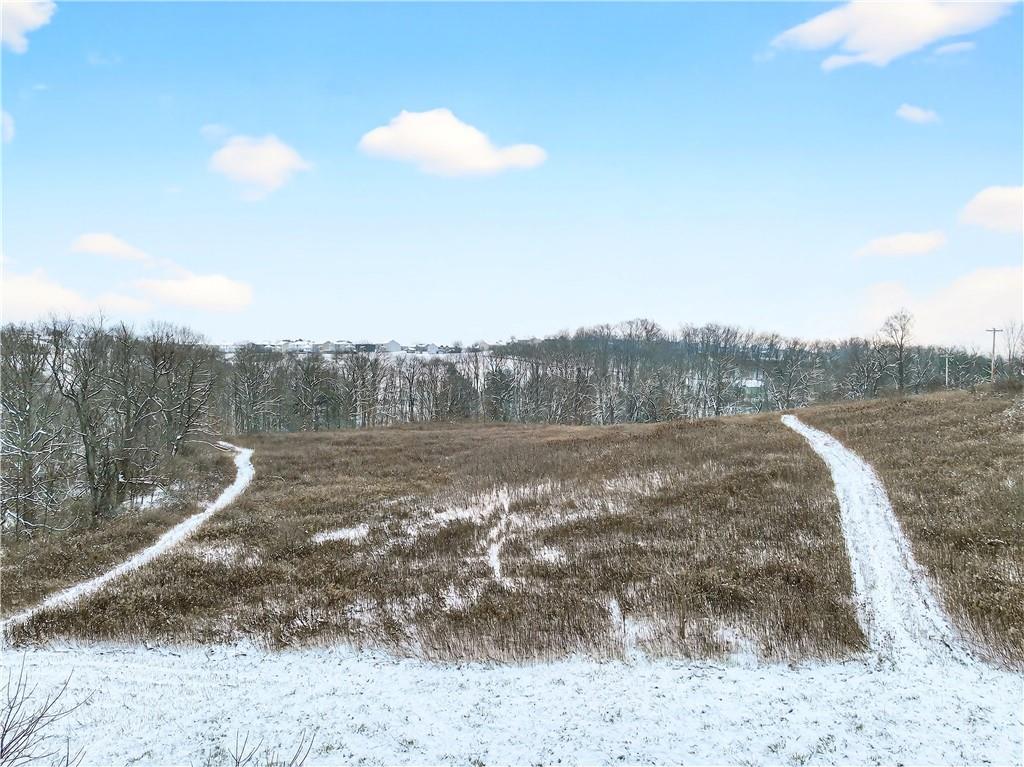 3942 Potato Garden Run Road Imperial, PA 15126 - Photo 8 of 17 a view of a dry yard with trees
