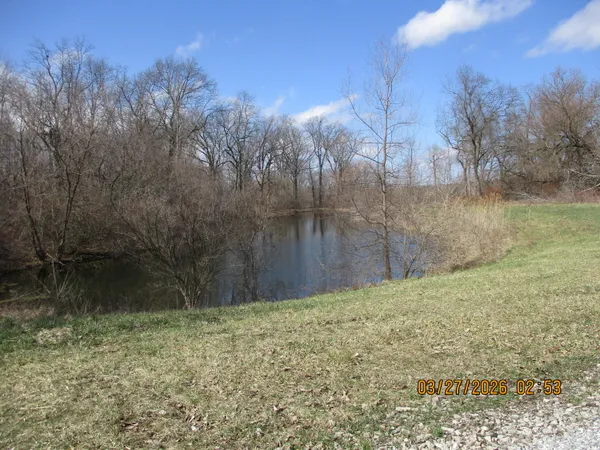 a view of backyard with green space