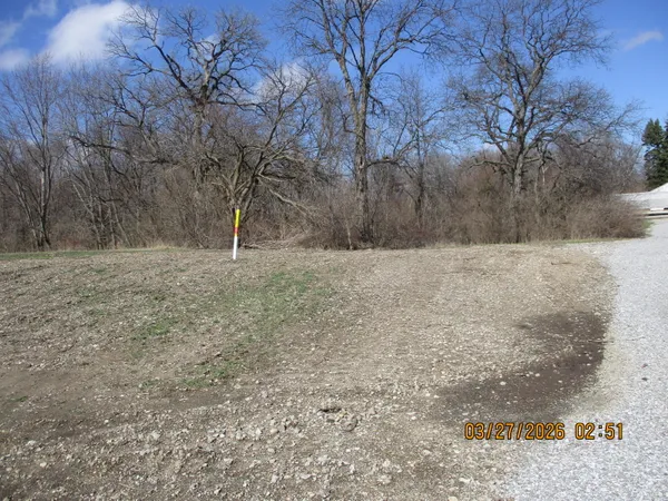 a view of empty room with trees