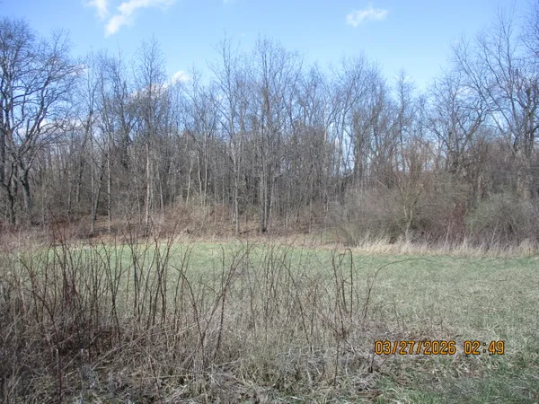 a view of a back yard