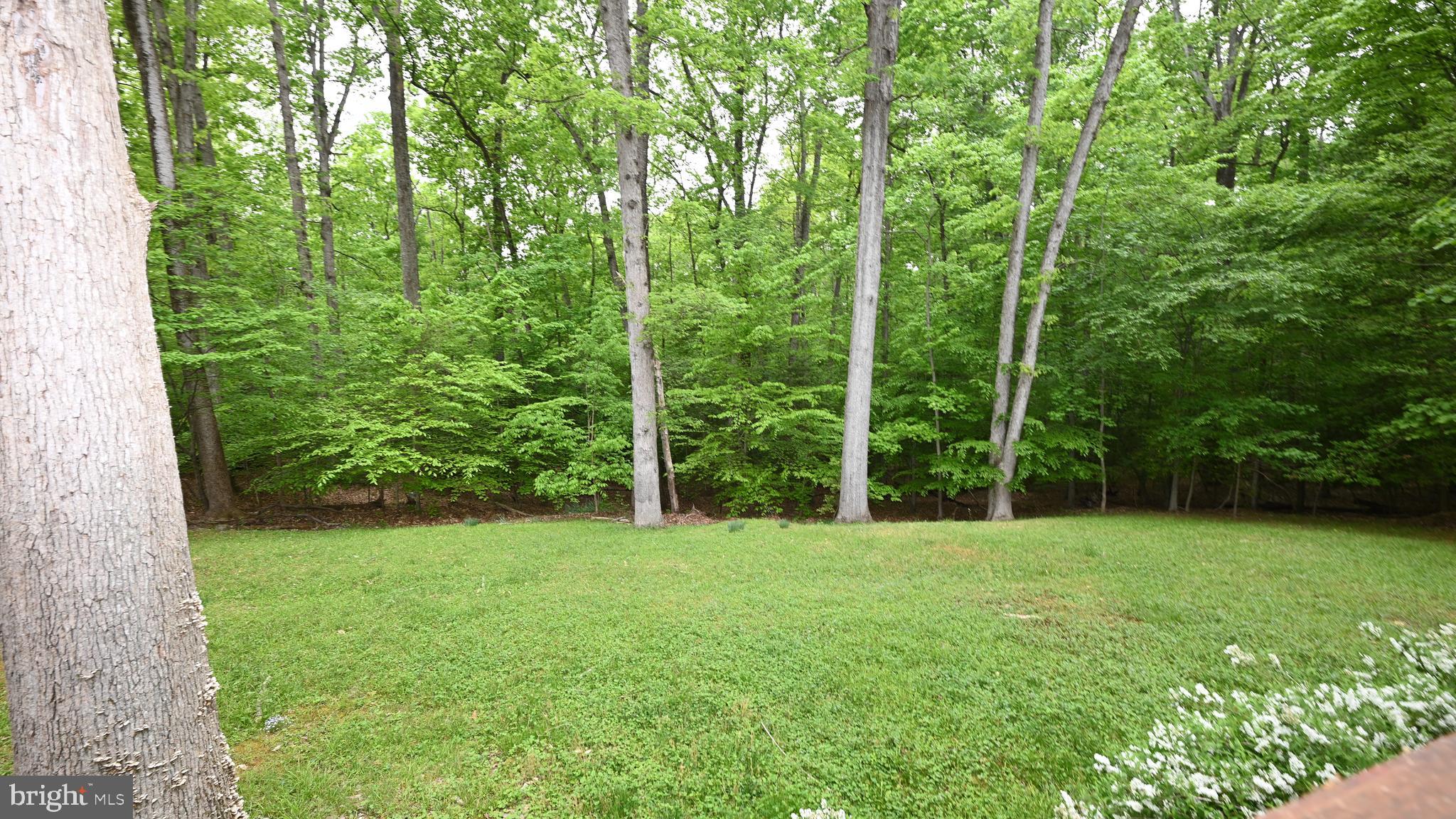 14116 Duckett Road Brandywine, MD 20613 - Photo 24 of 32