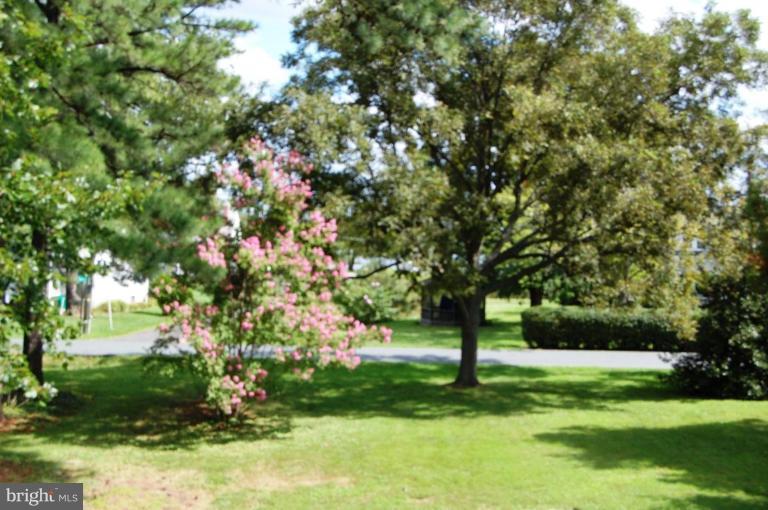 6354 Middle Point Road Neavitt, MD 21652 - Photo 7 of 28 Garden