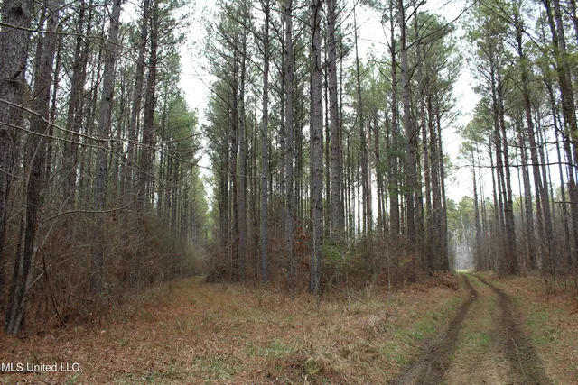 $399,900 | 2414 Co Road, Newton, MS 39345