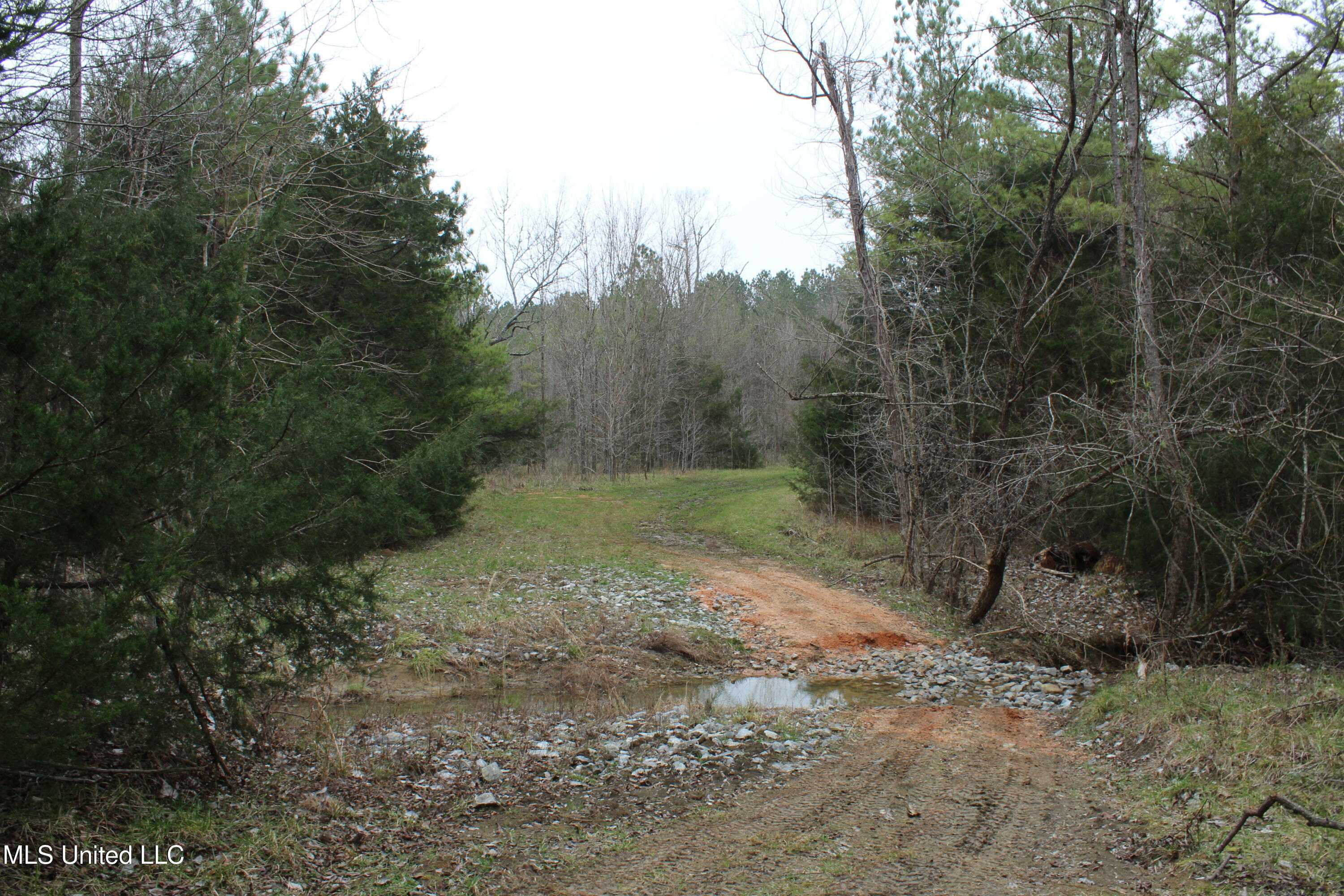 2414 Co Road Newton, MS 39345 - Photo 11 of 51 IMG_9233