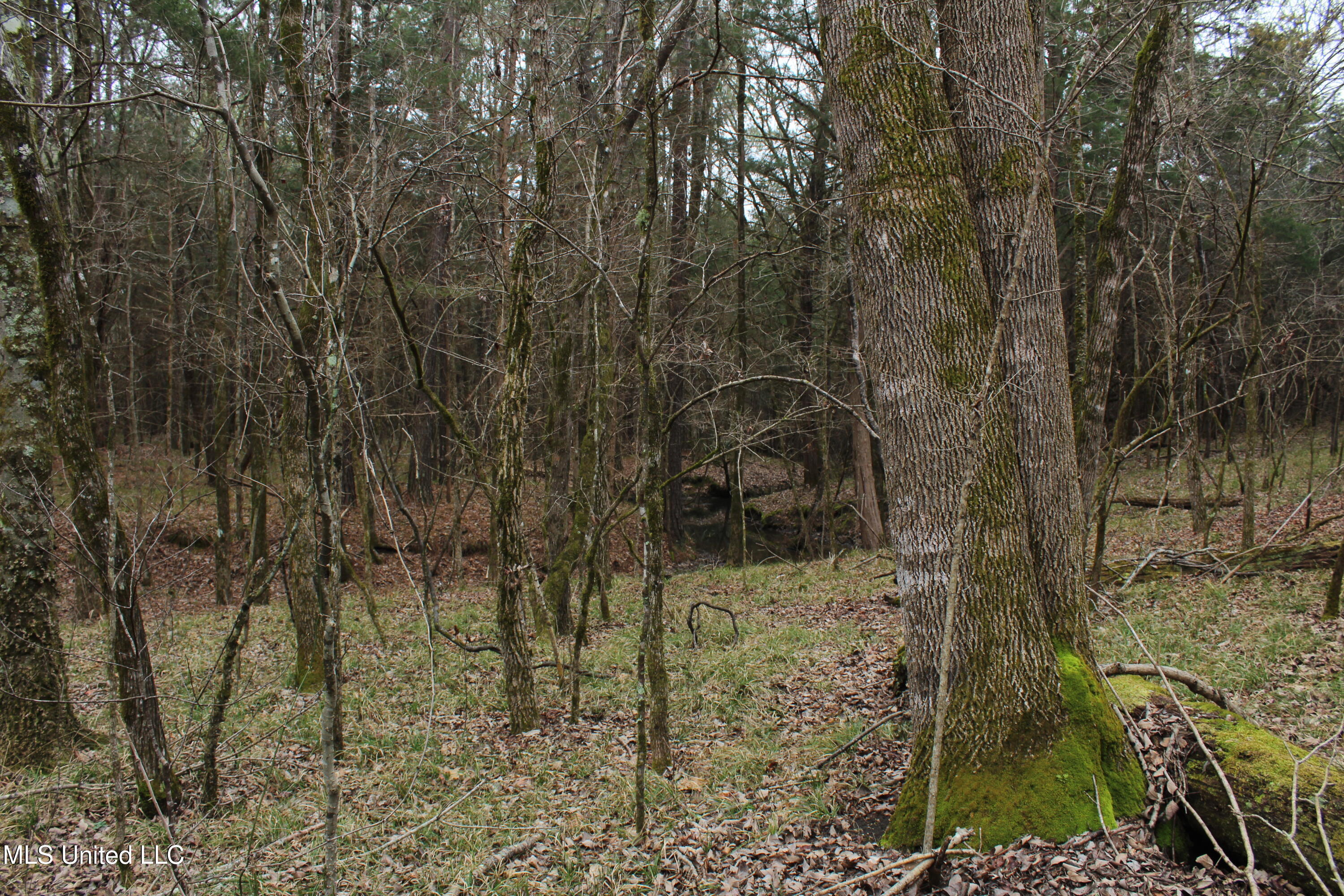 2414 Co Road Newton, MS 39345 - Photo 12 of 51 IMG_9183