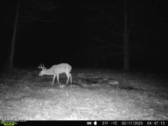 $399,900 | 2414 Co Road, Newton, MS 39345