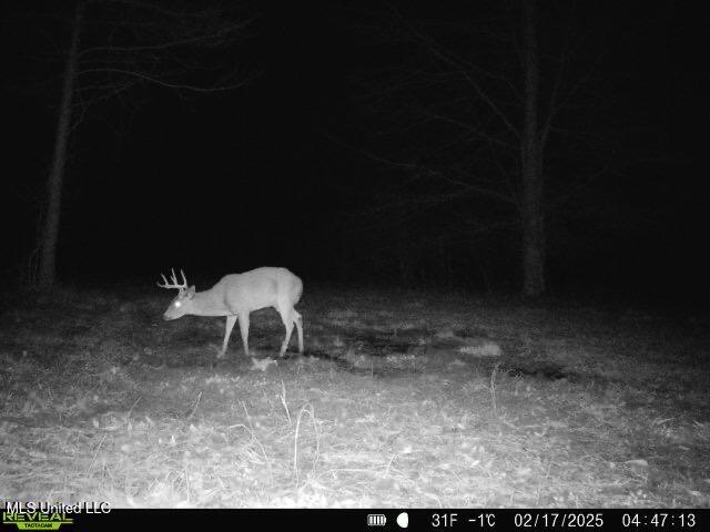 2414 Co Road Newton, MS 39345 - Photo 13 of 51 IMG_3268