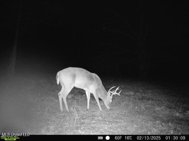 2414 Co Road Newton, MS 39345 - Photo 14 of 51 IMG_3221