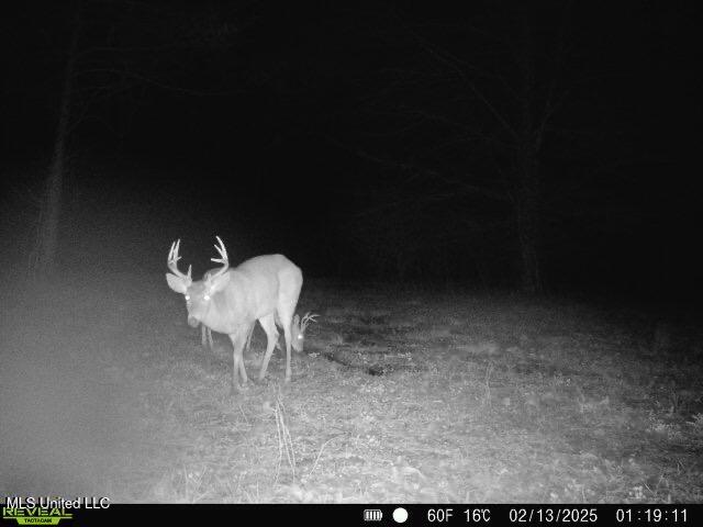 2414 Co Road Newton, MS 39345 - Photo 15 of 51 IMG_3222