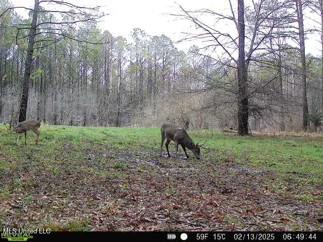 $399,900 | 2414 Co Road, Newton, MS 39345