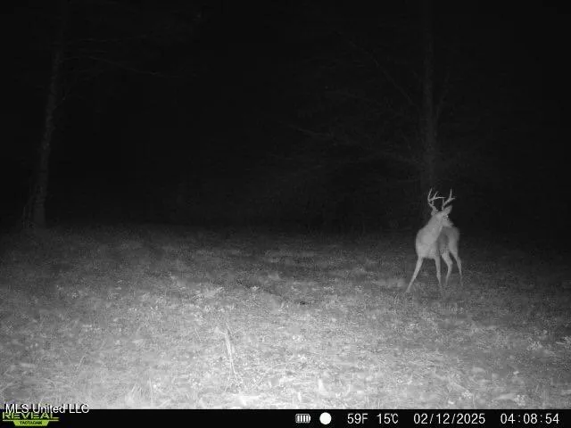 $399,900 | 2414 Co Road, Newton, MS 39345