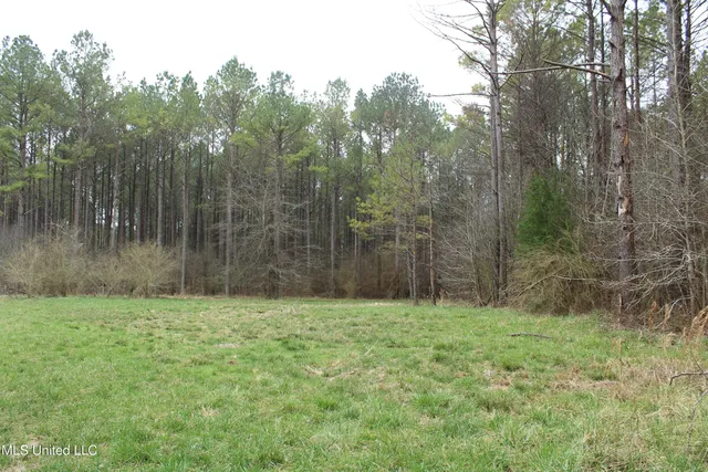 $399,900 | 2414 Co Road, Newton, MS 39345