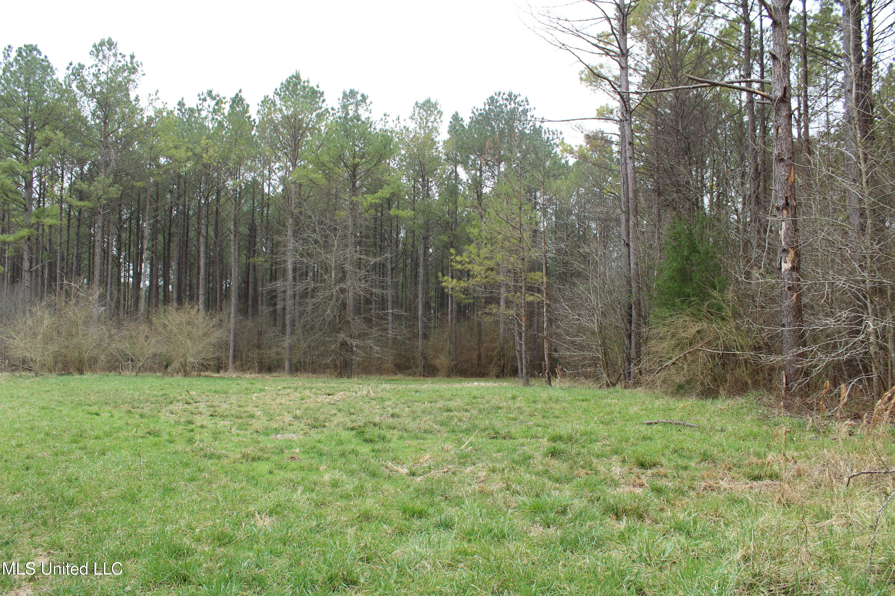 2414 Co Road Newton, MS 39345 - Photo 19 of 51 IMG_9155