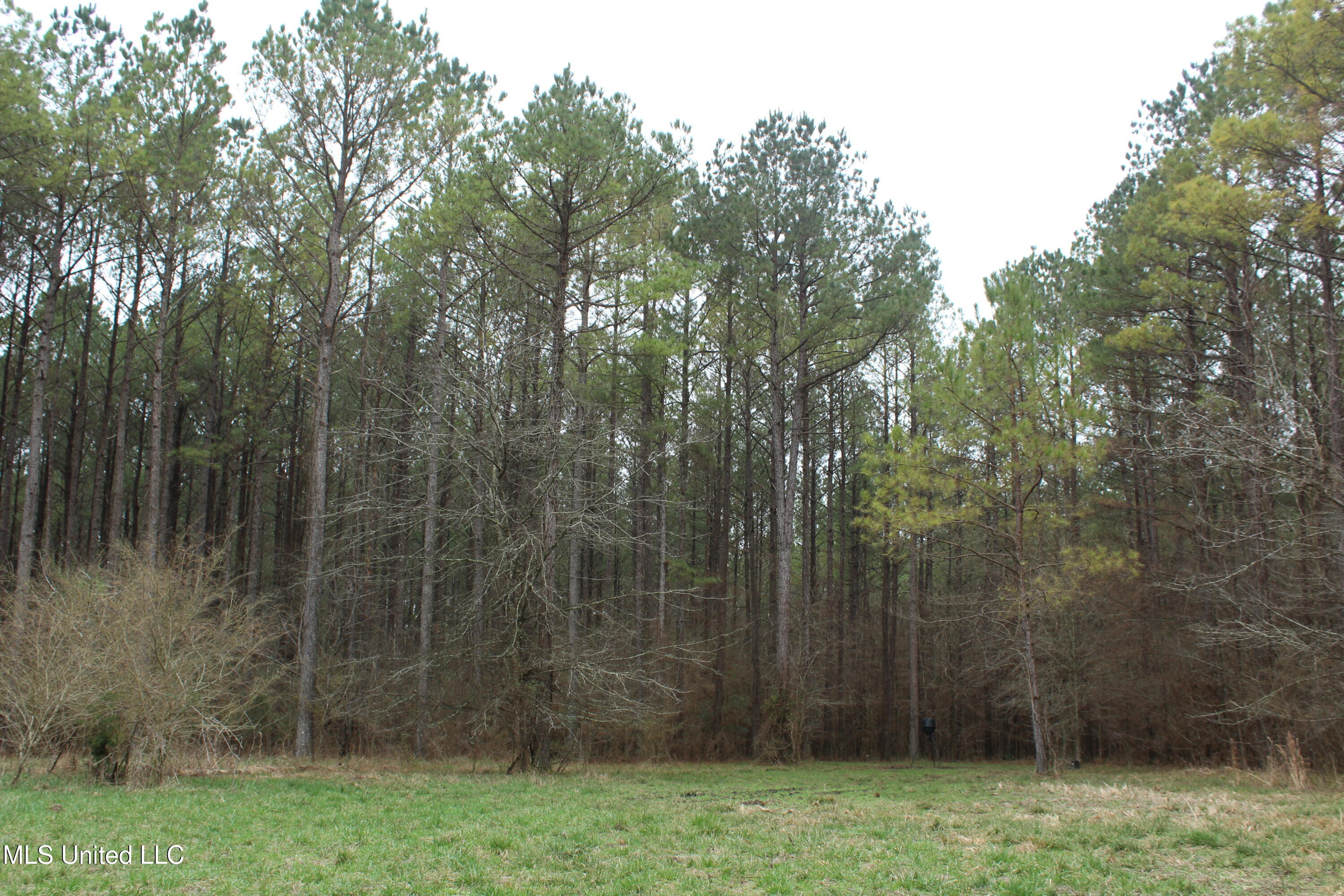 2414 Co Road Newton, MS 39345 - Photo 20 of 51 IMG_9161