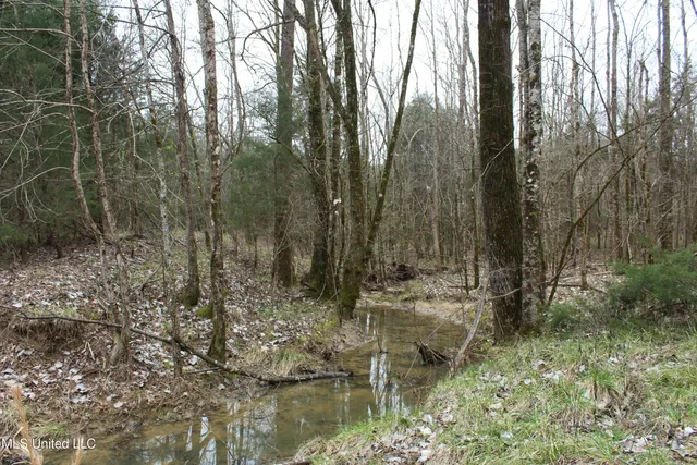 $399,900 | 2414 Co Road, Newton, MS 39345