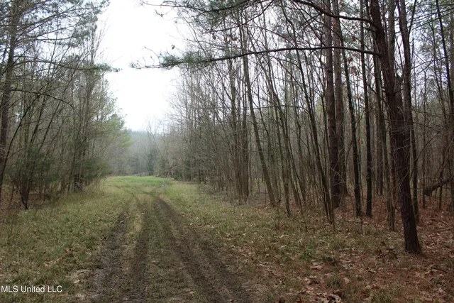 $399,900 | 2414 Co Road, Newton, MS 39345