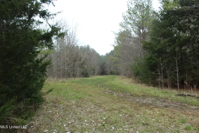 $399,900 | 2414 Co Road, Newton, MS 39345