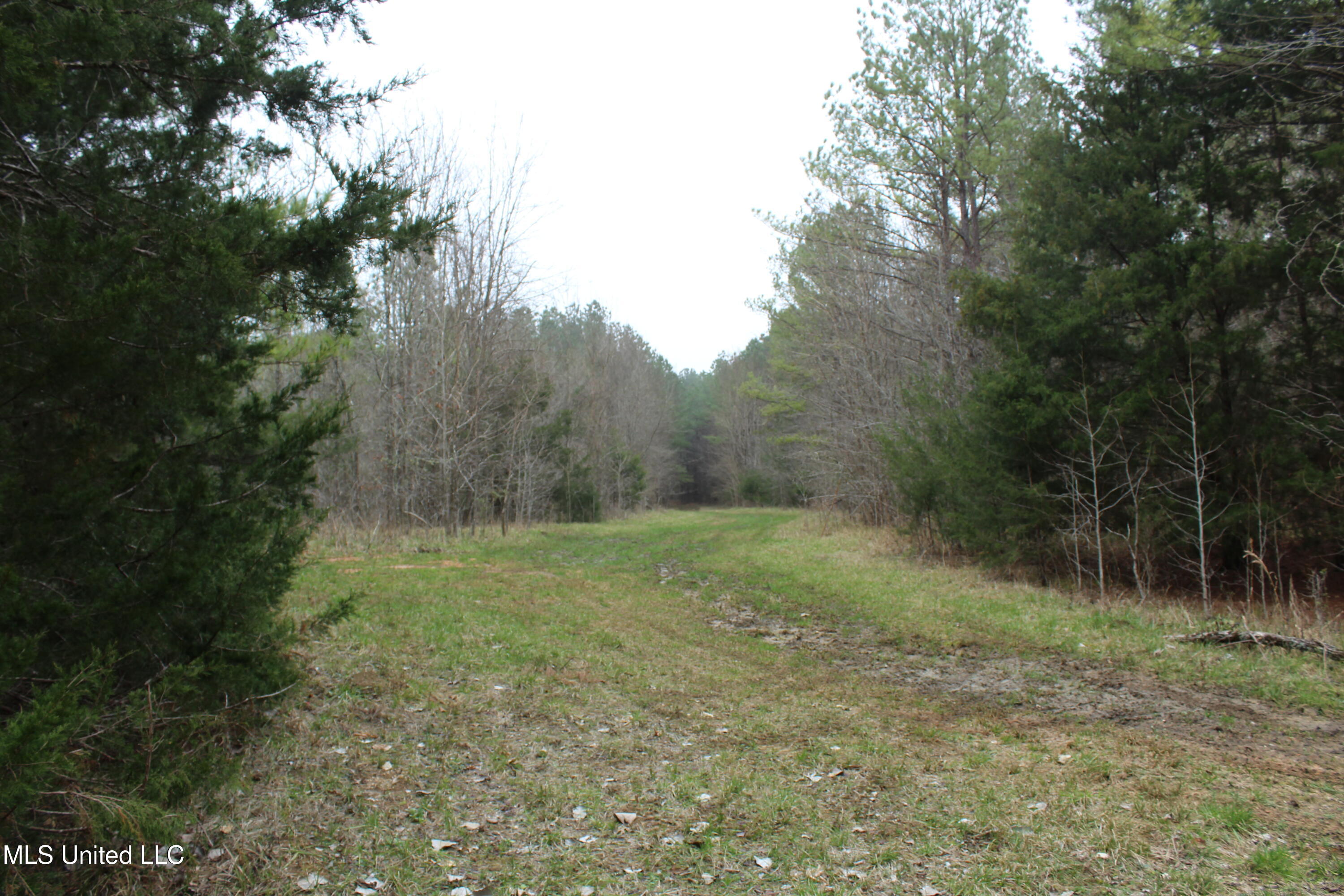 2414 Co Road Newton, MS 39345 - Photo 22 of 51 IMG_9177