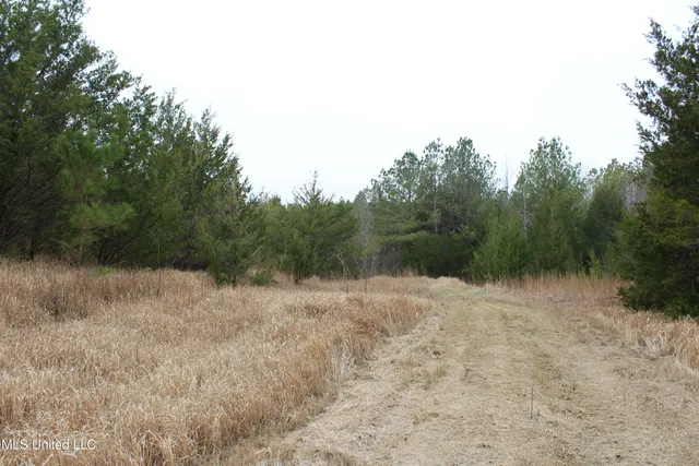 $399,900 | 2414 Co Road, Newton, MS 39345