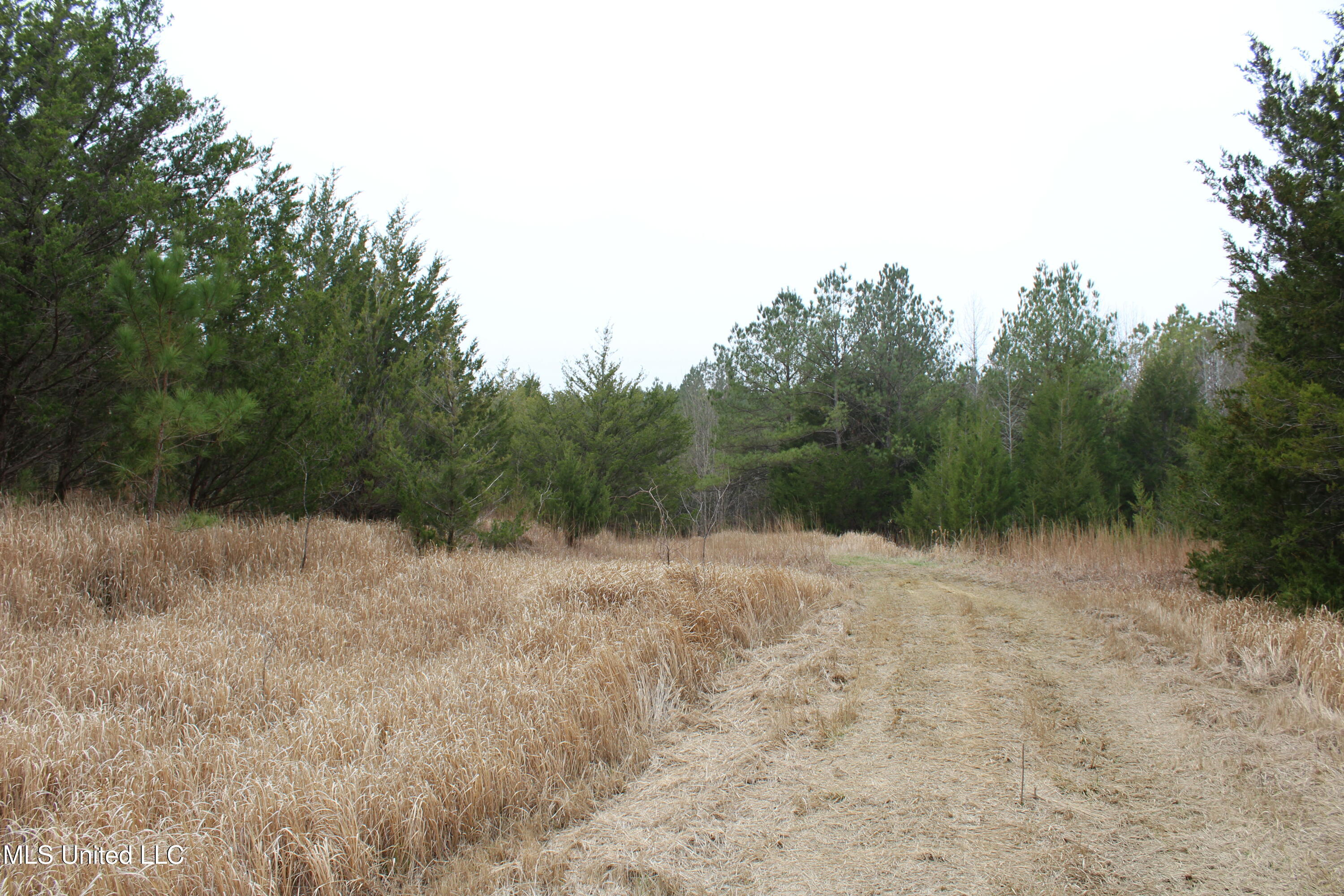 2414 Co Road Newton, MS 39345 - Photo 23 of 51 IMG_9187
