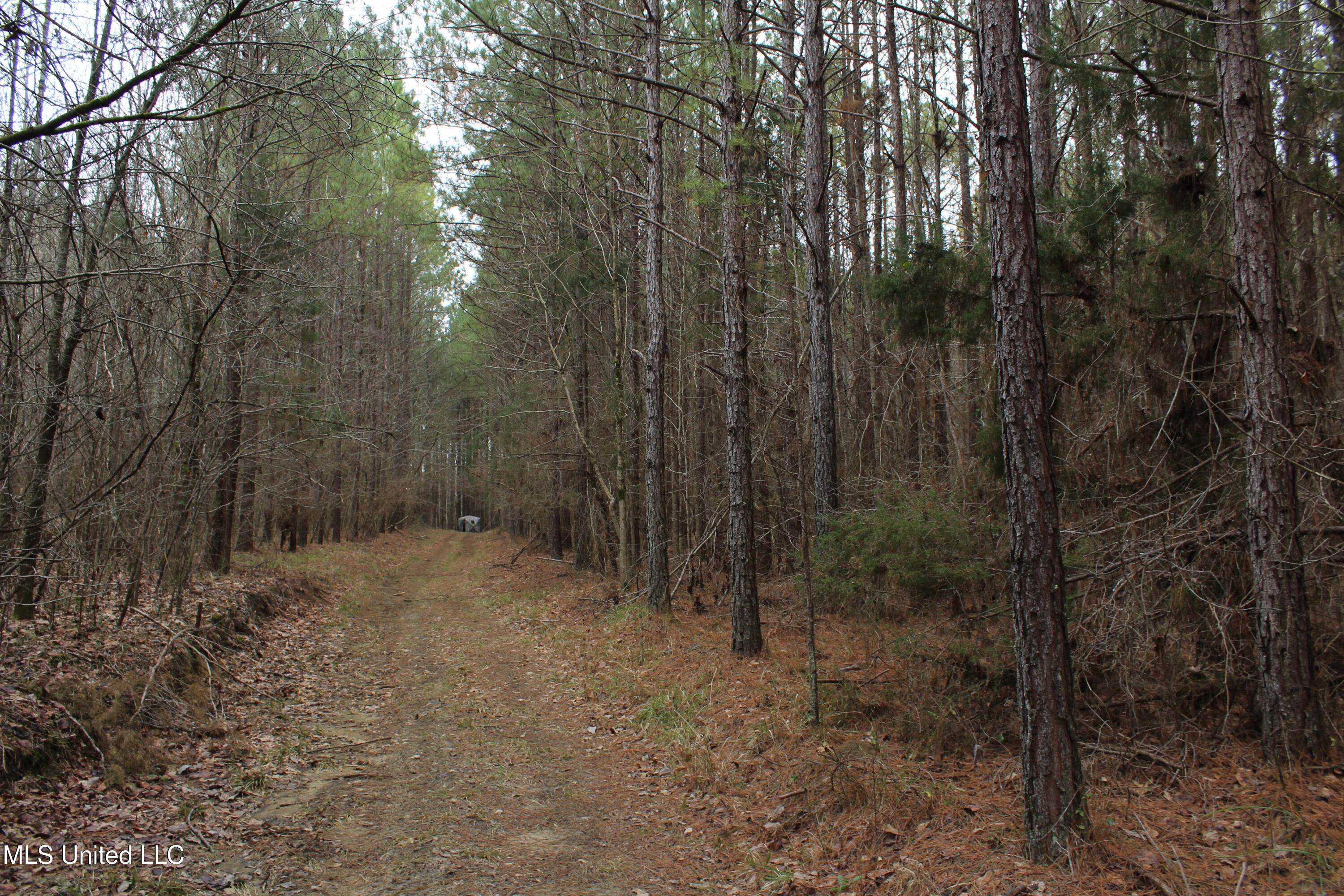 2414 Co Road Newton, MS 39345 - Photo 24 of 51 IMG_9190