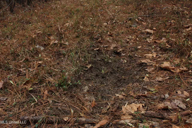 $399,900 | 2414 Co Road, Newton, MS 39345