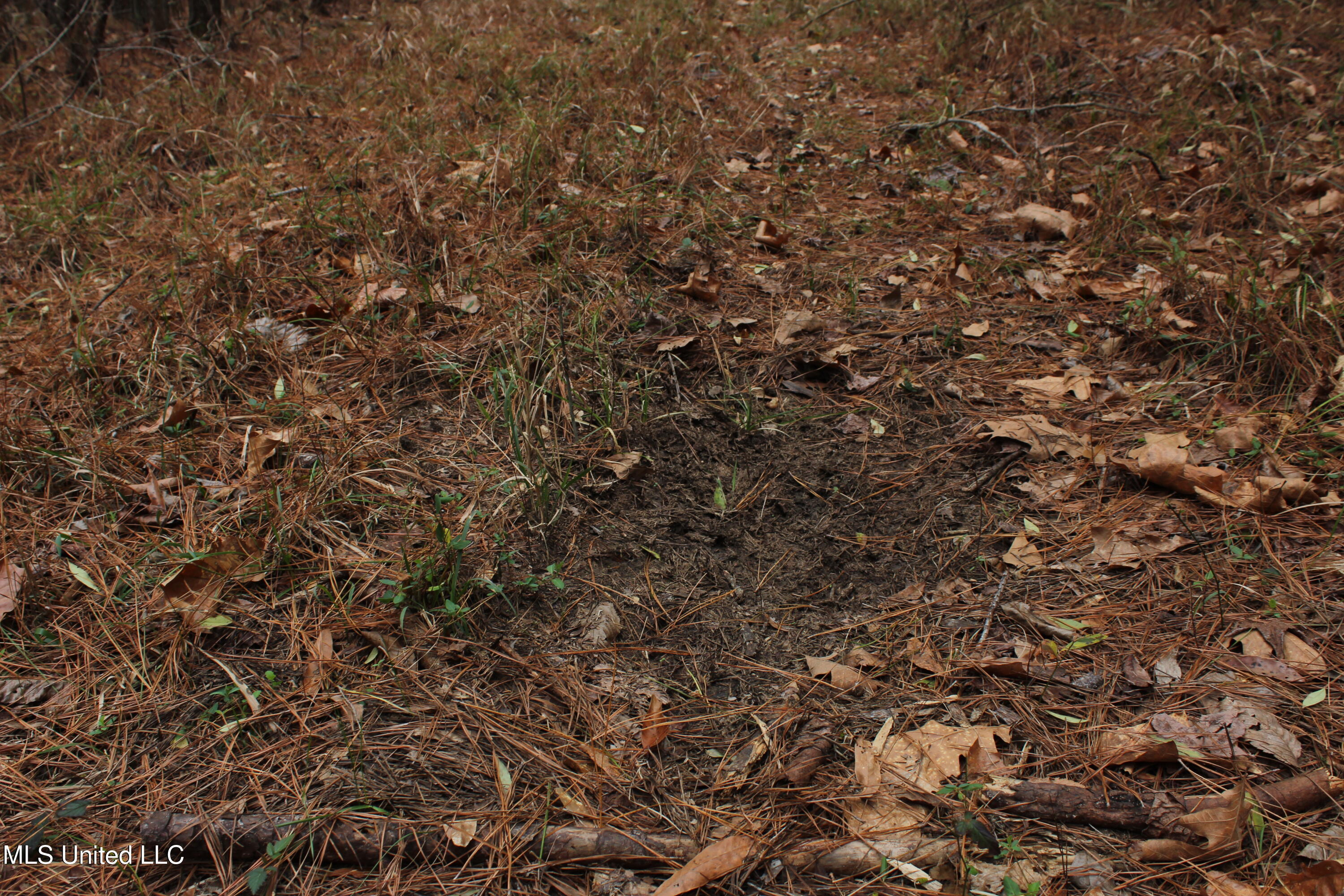 2414 Co Road Newton, MS 39345 - Photo 25 of 51 IMG_9192