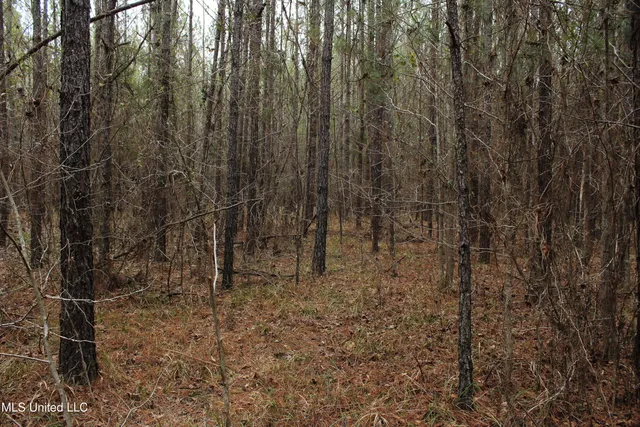 $399,900 | 2414 Co Road, Newton, MS 39345