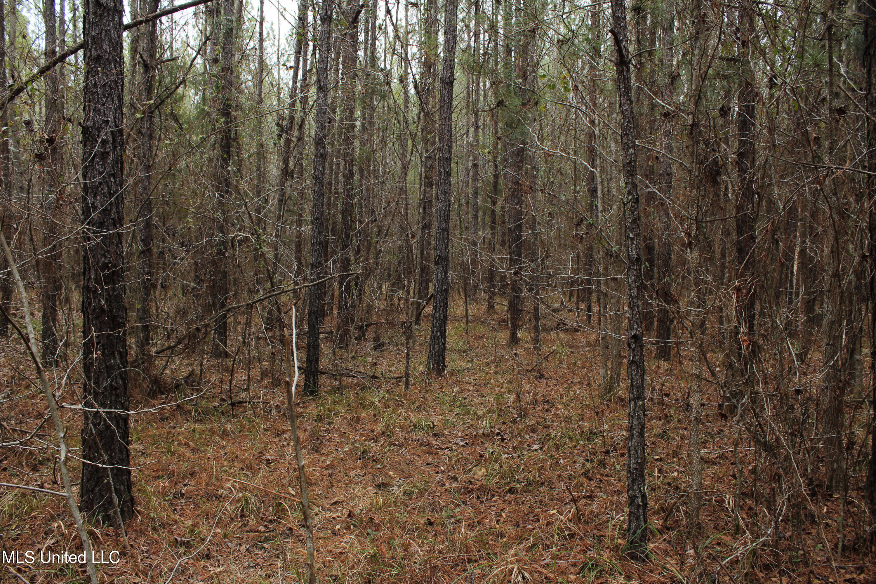 2414 Co Road Newton, MS 39345 - Photo 26 of 51 IMG_9197