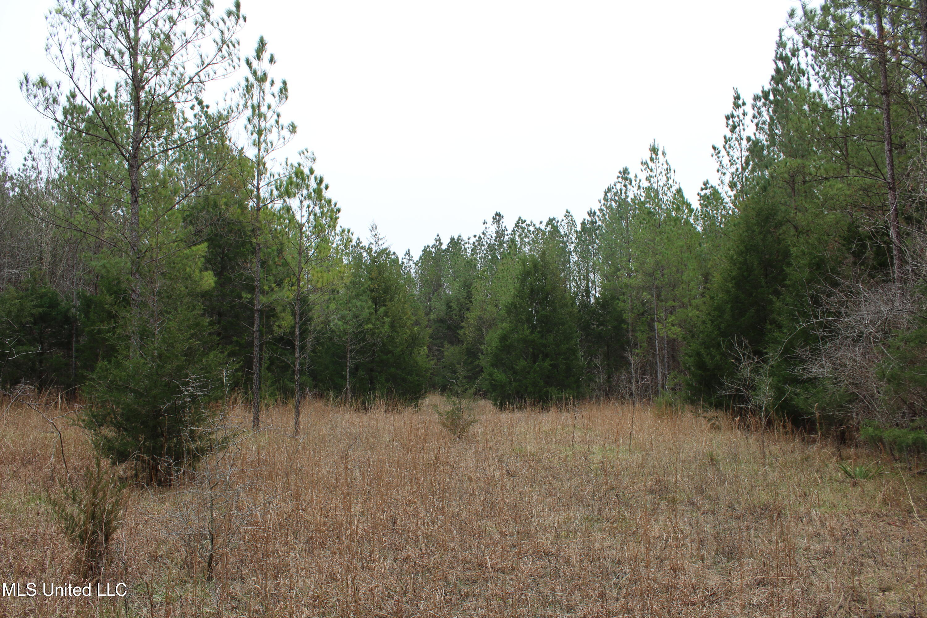 2414 Co Road Newton, MS 39345 - Photo 27 of 51 IMG_9201