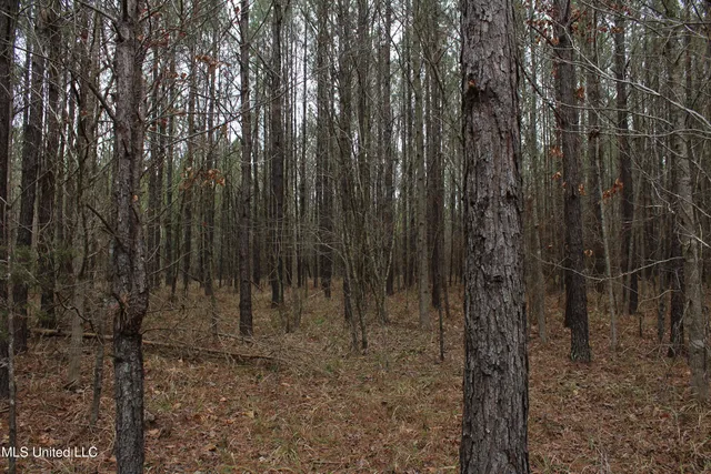 $399,900 | 2414 Co Road, Newton, MS 39345