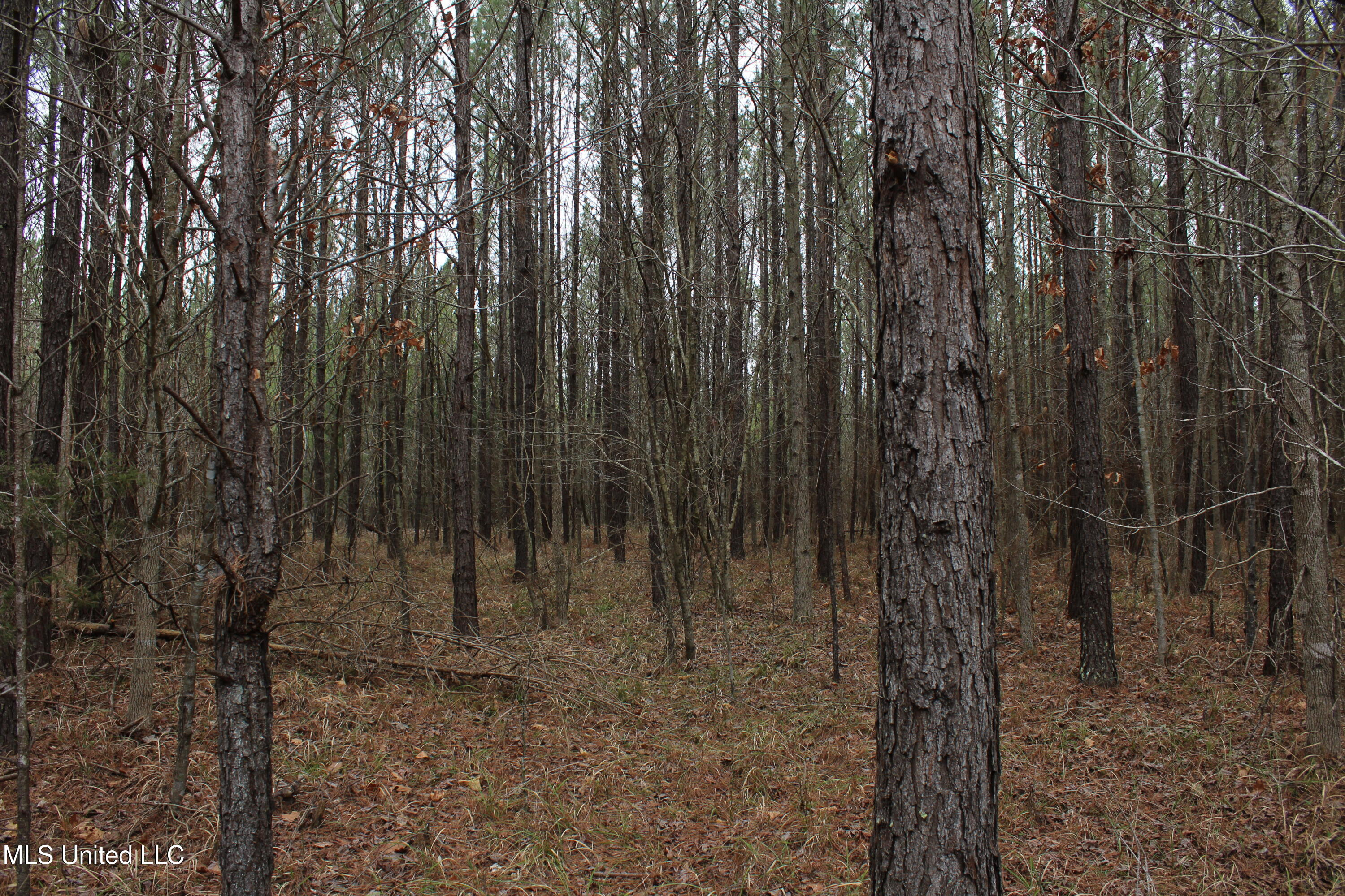 2414 Co Road Newton, MS 39345 - Photo 28 of 51 IMG_9203