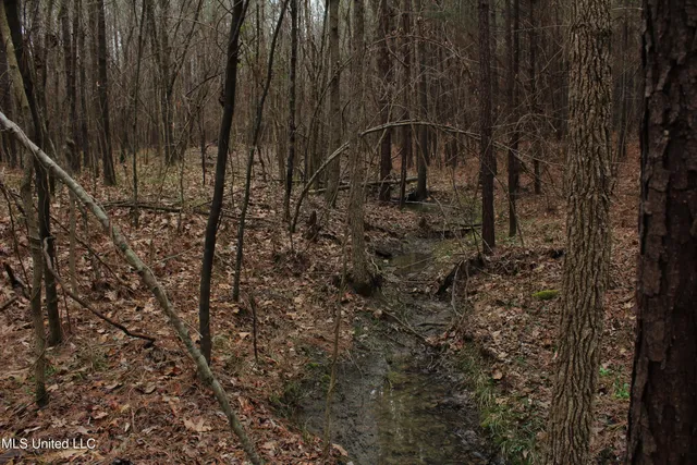 $399,900 | 2414 Co Road, Newton, MS 39345