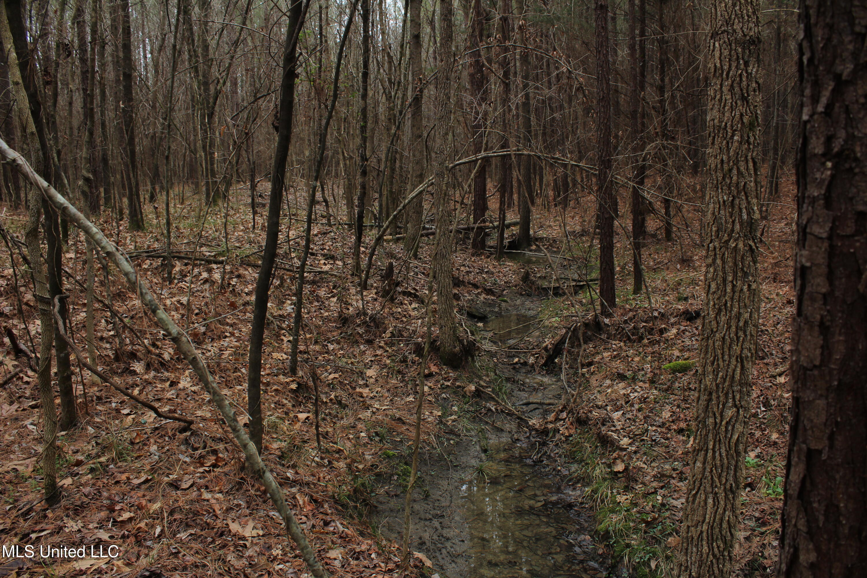 2414 Co Road Newton, MS 39345 - Photo 29 of 51 IMG_9208