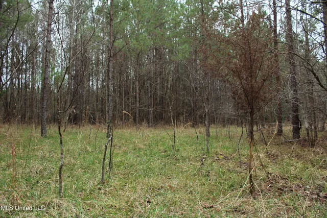 $399,900 | 2414 Co Road, Newton, MS 39345