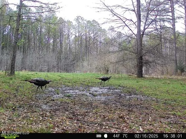 $399,900 | 2414 Co Road, Newton, MS 39345