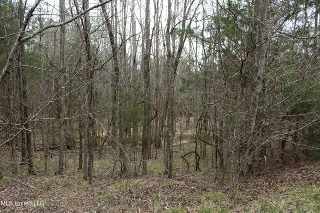 $399,900 | 2414 Co Road, Newton, MS 39345