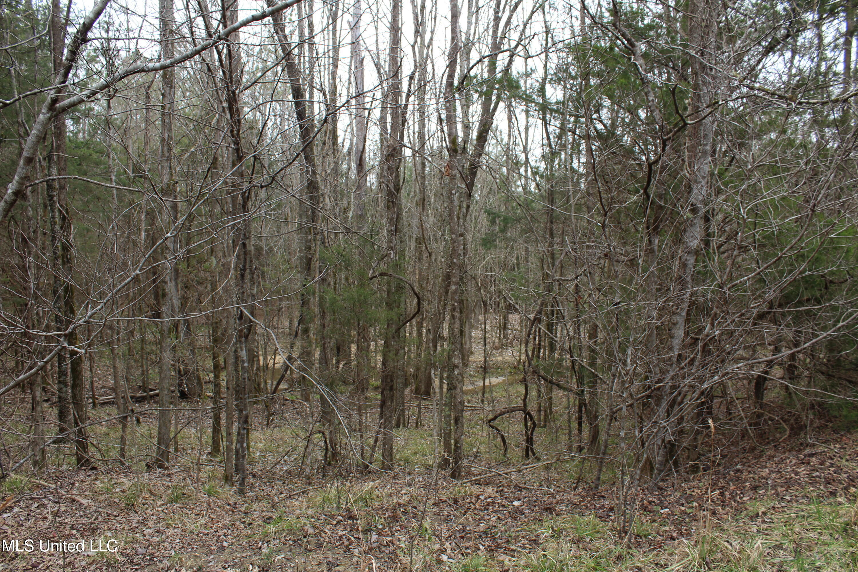 2414 Co Road Newton, MS 39345 - Photo 31 of 51 IMG_9224