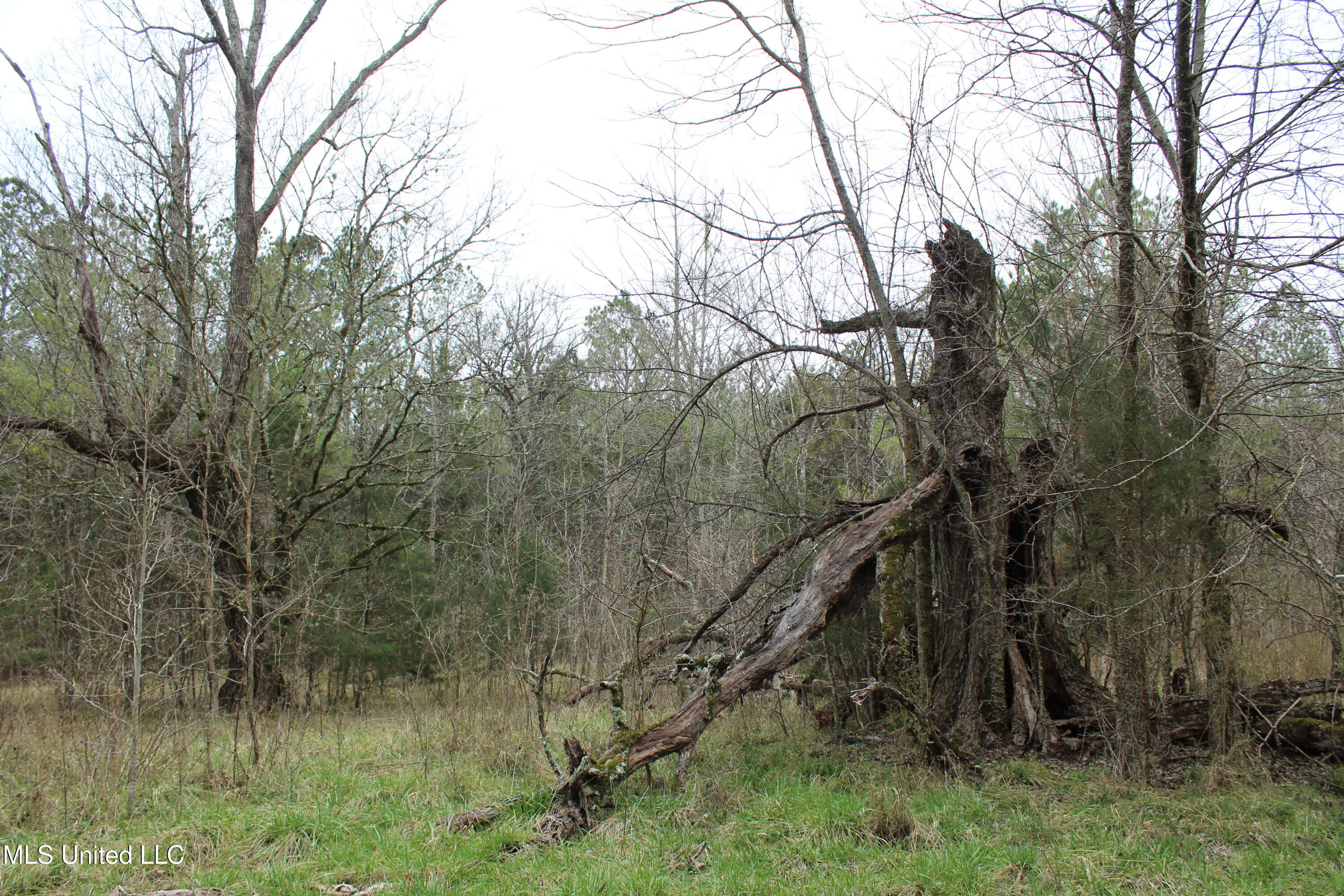 2414 Co Road Newton, MS 39345 - Photo 32 of 51 IMG_9237