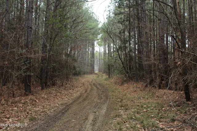 $399,900 | 2414 Co Road, Newton, MS 39345