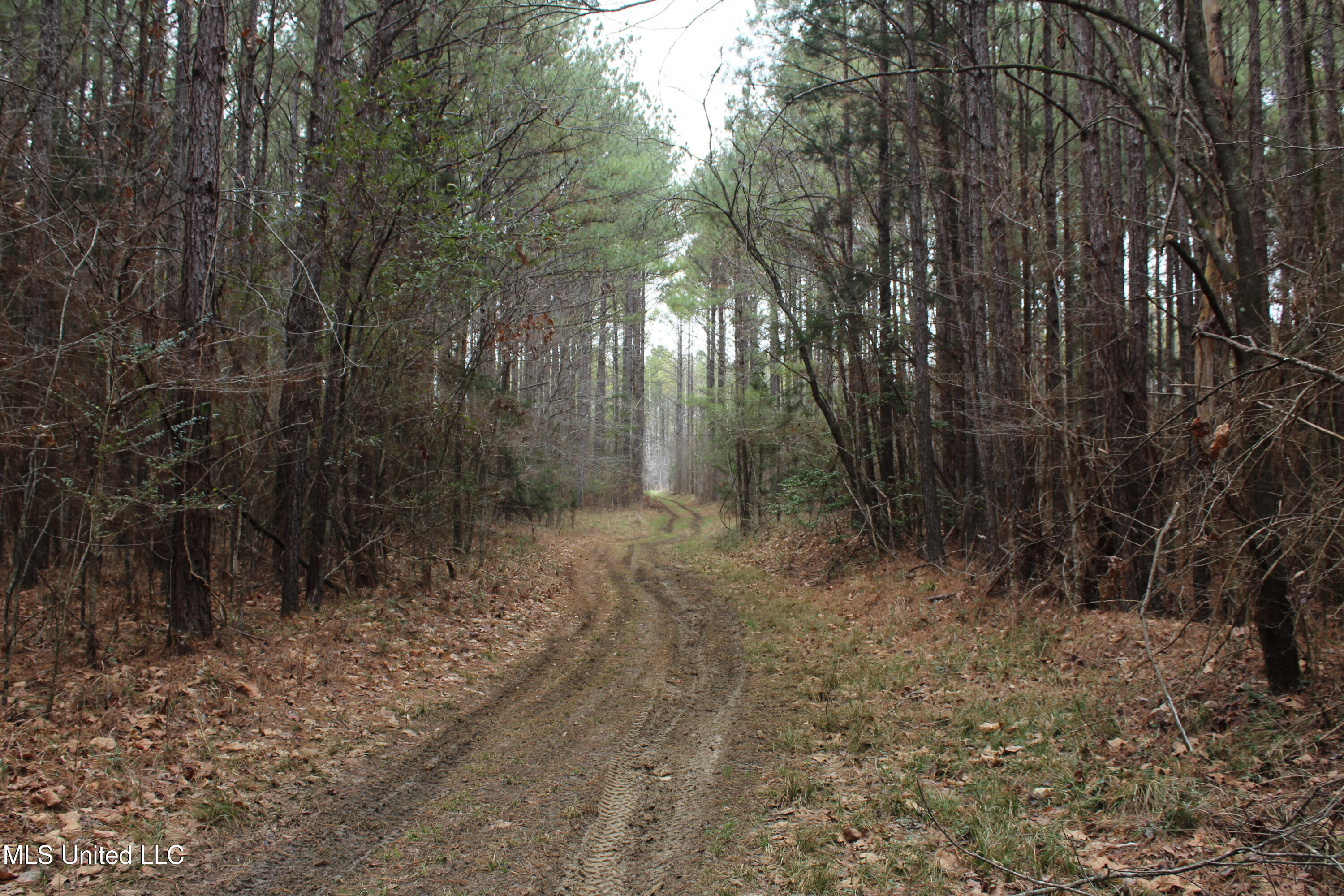 2414 Co Road Newton, MS 39345 - Photo 33 of 51 IMG_9244