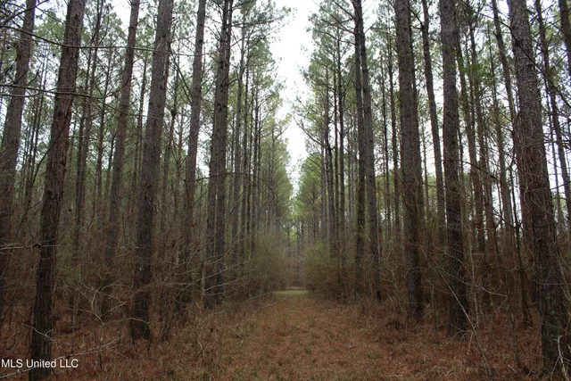 $399,900 | 2414 Co Road, Newton, MS 39345