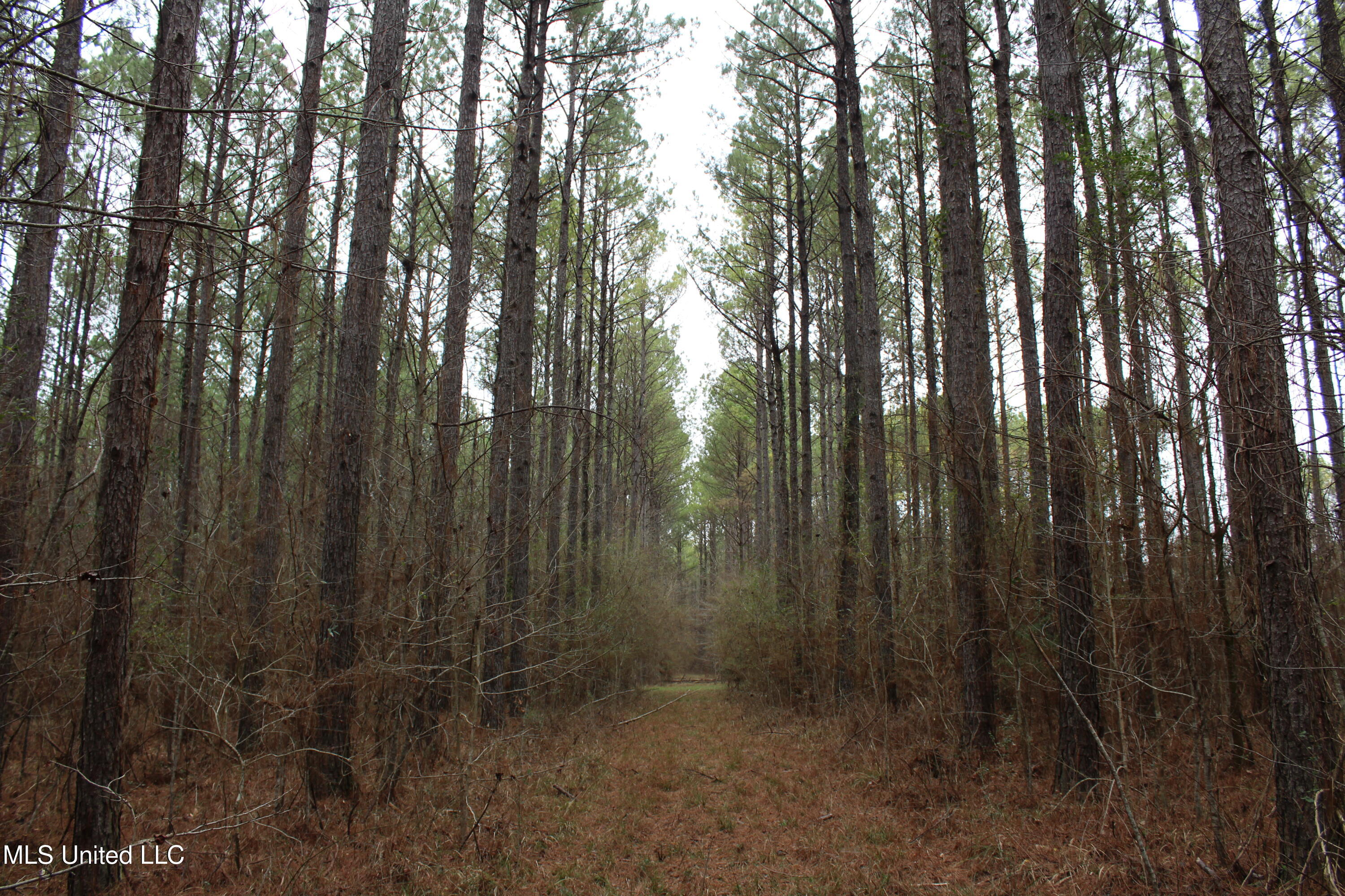 2414 Co Road Newton, MS 39345 - Photo 34 of 51 IMG_9248