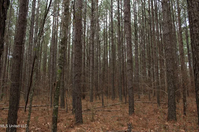 $399,900 | 2414 Co Road, Newton, MS 39345