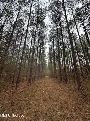 $399,900 | 2414 Co Road, Newton, MS 39345