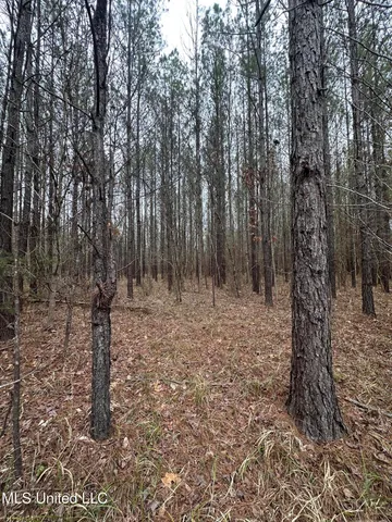 $399,900 | 2414 Co Road, Newton, MS 39345